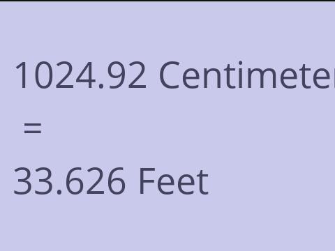 1024.92 CM TO FEET