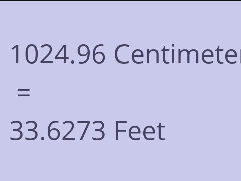 1024.96 CM TO FEET