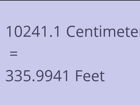 10241.1 CM TO FEET