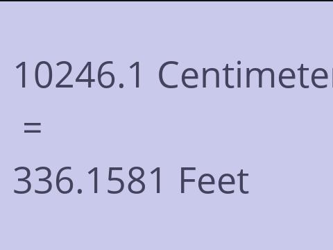 10246.1 CM TO FEET
