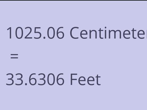 1025.06 CM TO FEET