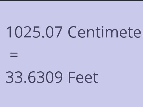 1025.07 CM TO FEET