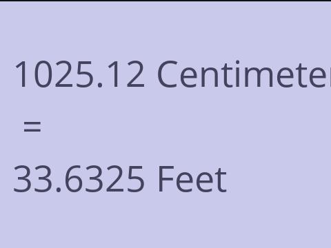 1025.12 CM TO FEET