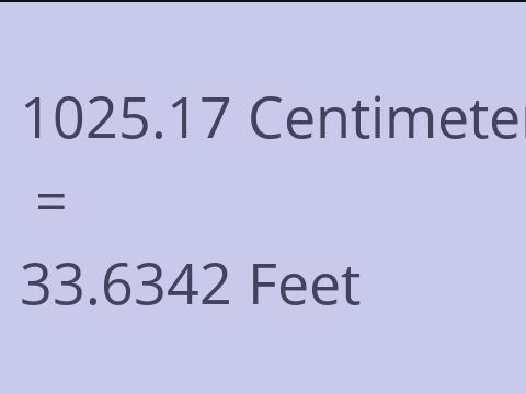 1025.17 CM TO FEET