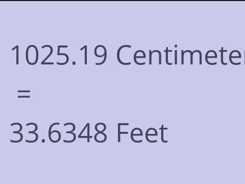 1025.19 CM TO FEET