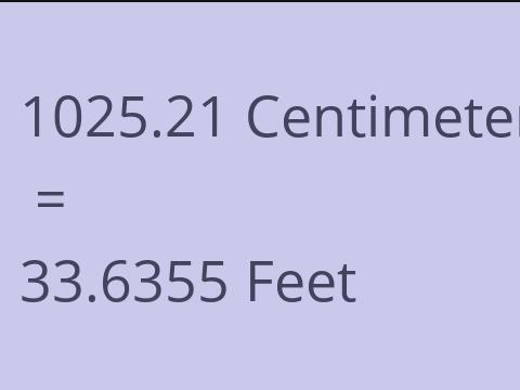 1025.21 CM TO FEET