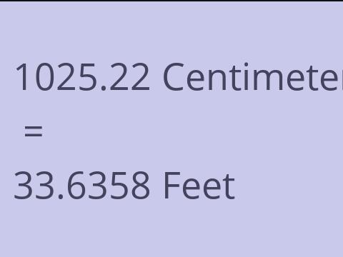 1025.22 CM TO FEET