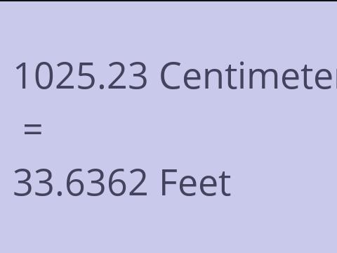 1025.23 CM TO FEET