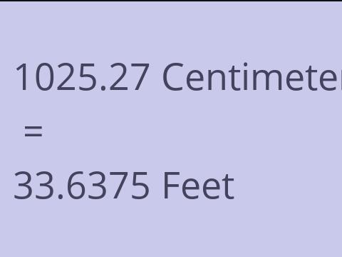 1025.27 CM TO FEET