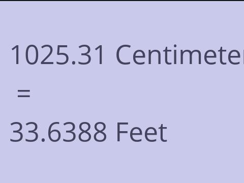 1025.31 CM TO FEET