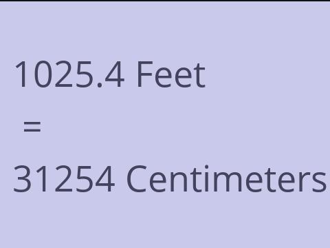 1025.4 FEET TO CM