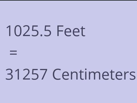 1025.5 FEET TO CM