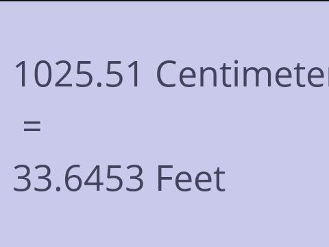 1025.51 CM TO FEET