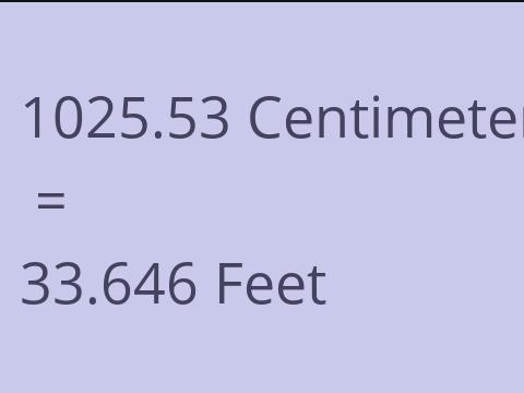 1025.53 CM TO FEET