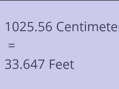 1025.56 CM TO FEET