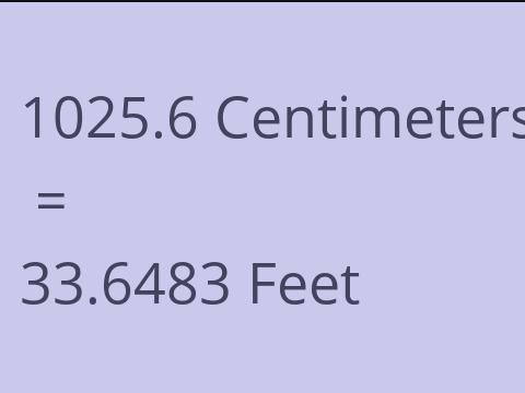 1025.6 CM TO FEET