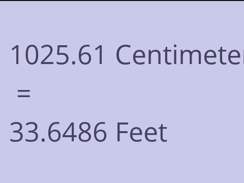 1025.61 CM TO FEET