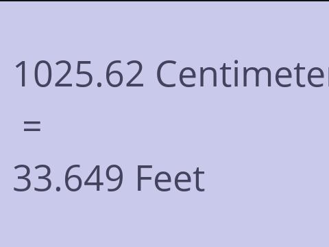 1025.62 CM TO FEET