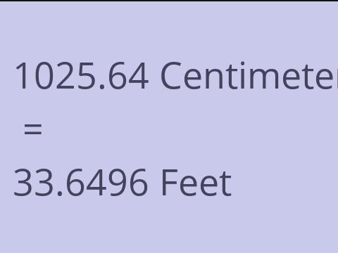 1025.64 CM TO FEET