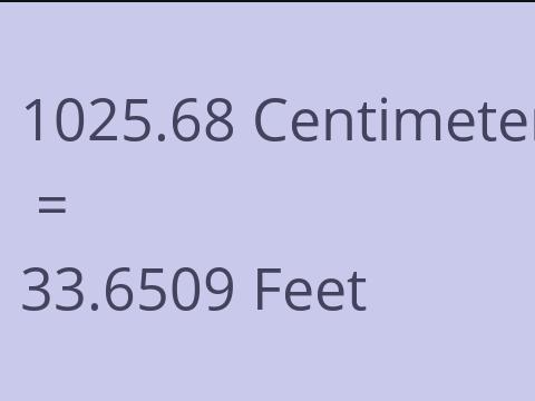 1025.68 CM TO FEET