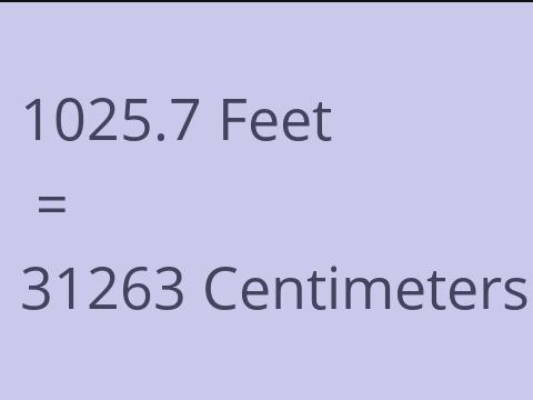 1025.7 FEET TO CM