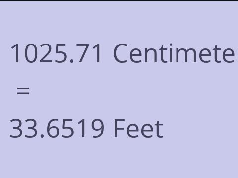 1025.71 CM TO FEET