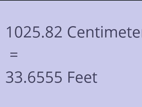 1025.82 CM TO FEET