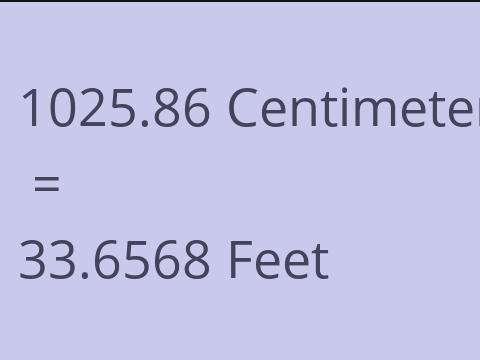 1025.86 CM TO FEET