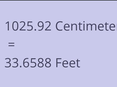 1025.92 CM TO FEET