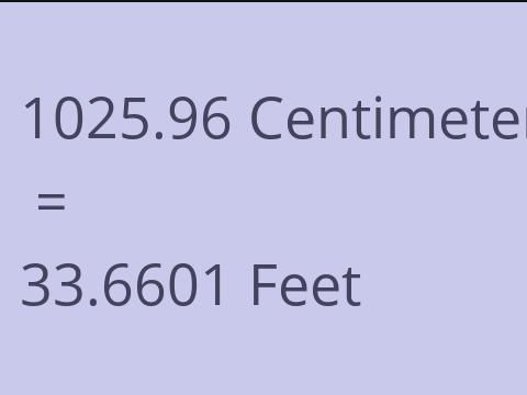 1025.96 CM TO FEET