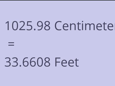 1025.98 CM TO FEET