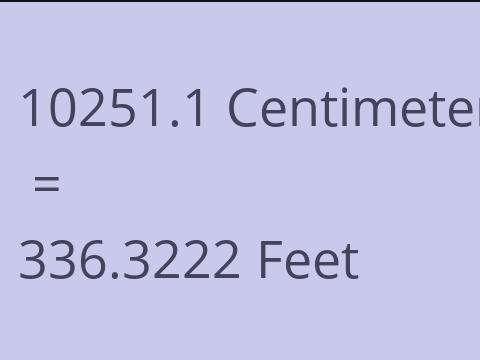10251.1 CM TO FEET
