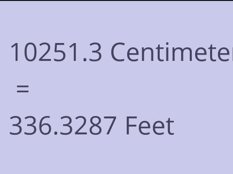 10251.3 CM TO FEET