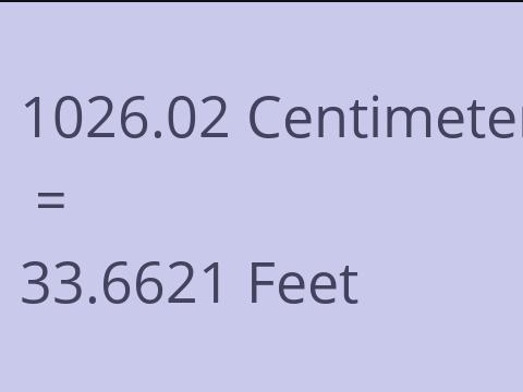 1026.02 CM TO FEET