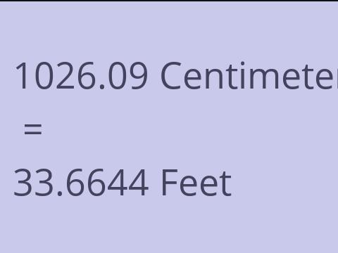 1026.09 CM TO FEET