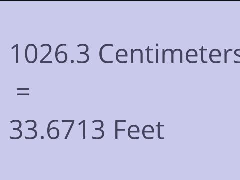 1026.3 CM TO FEET