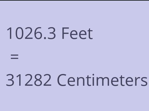 1026.3 FEET TO CM