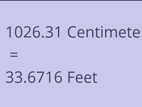 1026.31 CM TO FEET