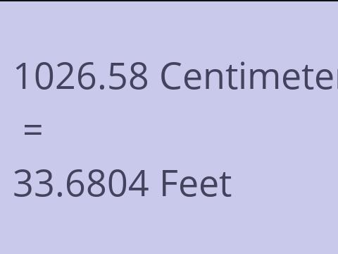 1026.58 CM TO FEET