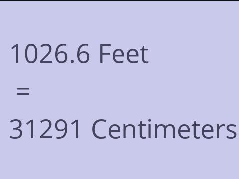 1026.6 FEET TO CM