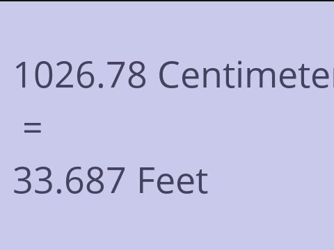 1026.78 CM TO FEET