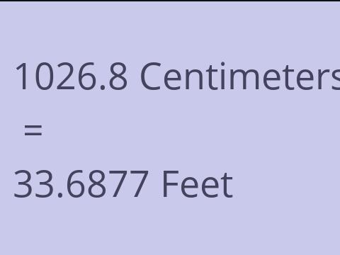 1026.8 CM TO FEET