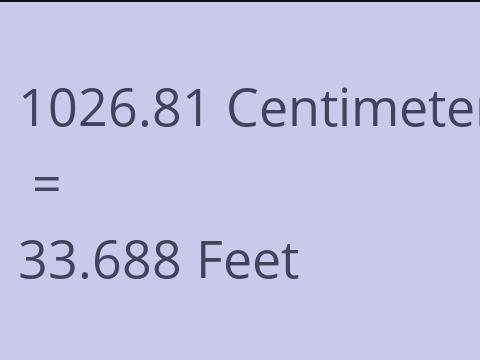 1026.81 CM TO FEET