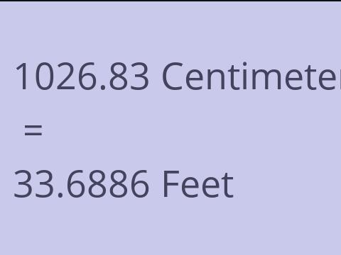 1026.83 CM TO FEET