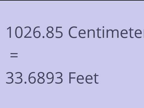 1026.85 CM TO FEET