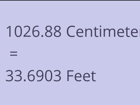 1026.88 CM TO FEET