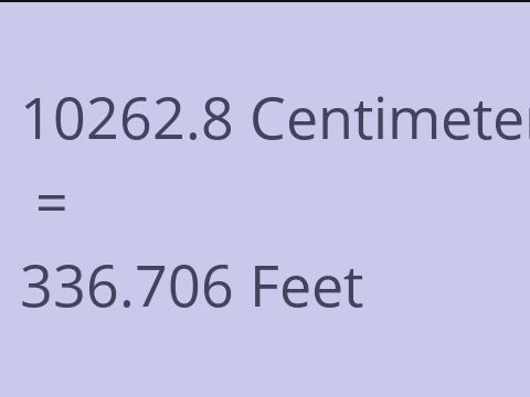 10262.8 CM TO FEET