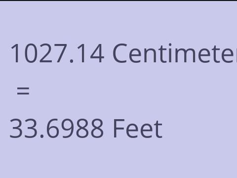 1027.14 CM TO FEET