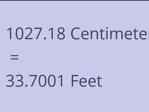 1027.18 CM TO FEET