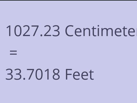 1027.23 CM TO FEET